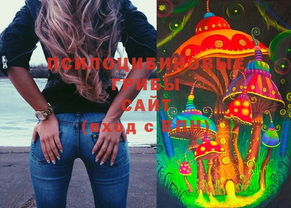 дурь Аркадак
