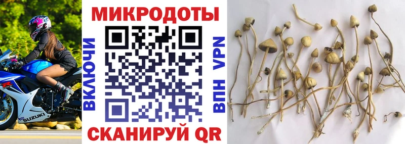 Псилоцибиновые грибы GOLDEN TEACHER  Заозёрный 